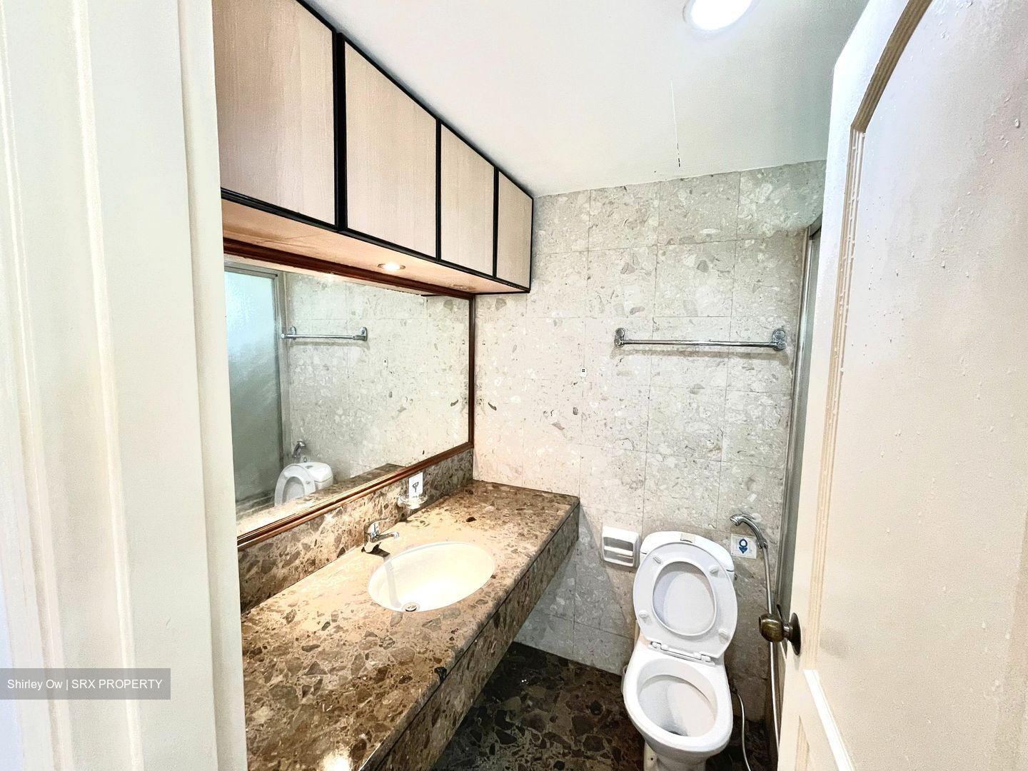 Meralodge (D23), Condominium #572295611